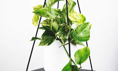 皇家马德里队主场圣地亚哥·伯纳乌球场外观全景